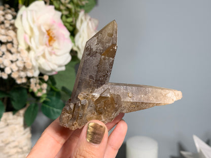 Congo Smoky Citrine Cluster (3.5", 89mm)