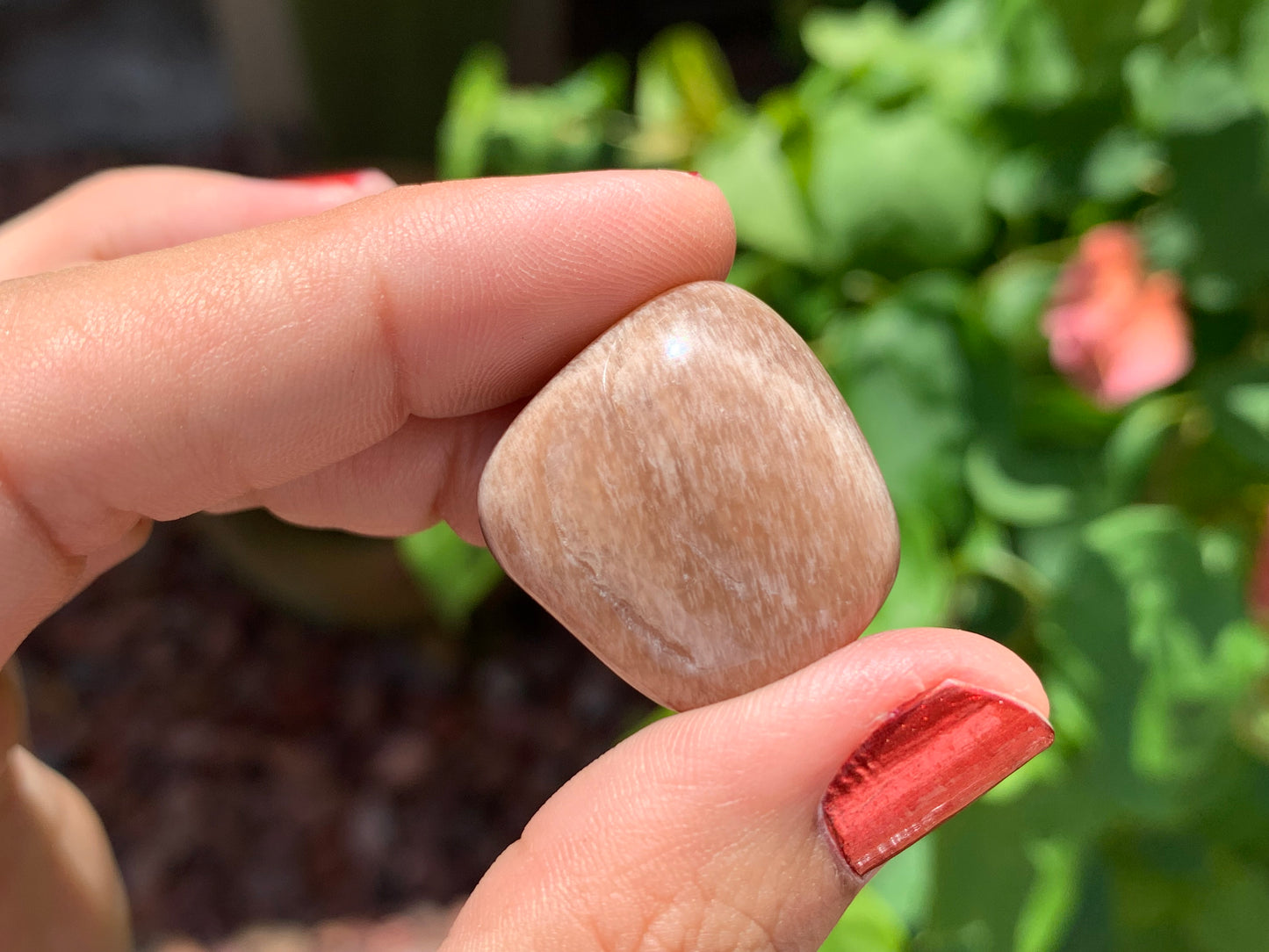 Tumbled Mixed Moonstone