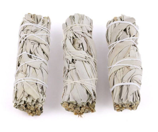 California White Sage Smudge Stick | 4-Inch Cleansing Bundle