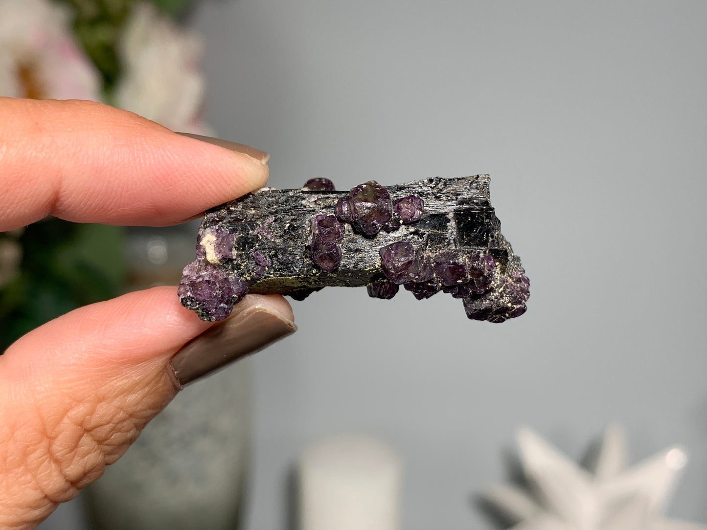 Natural Black Tourmaline with Fluorite Flowers (1.5", 38mm)