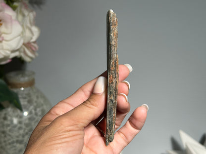 Blue Kyanite (4.5", 113mm)