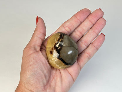 Septarian Palm Stone (2", 52mm)