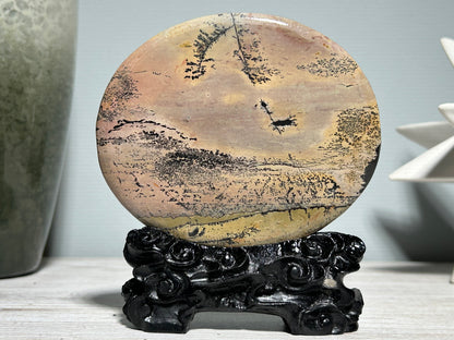 Picture Jasper Slice #280