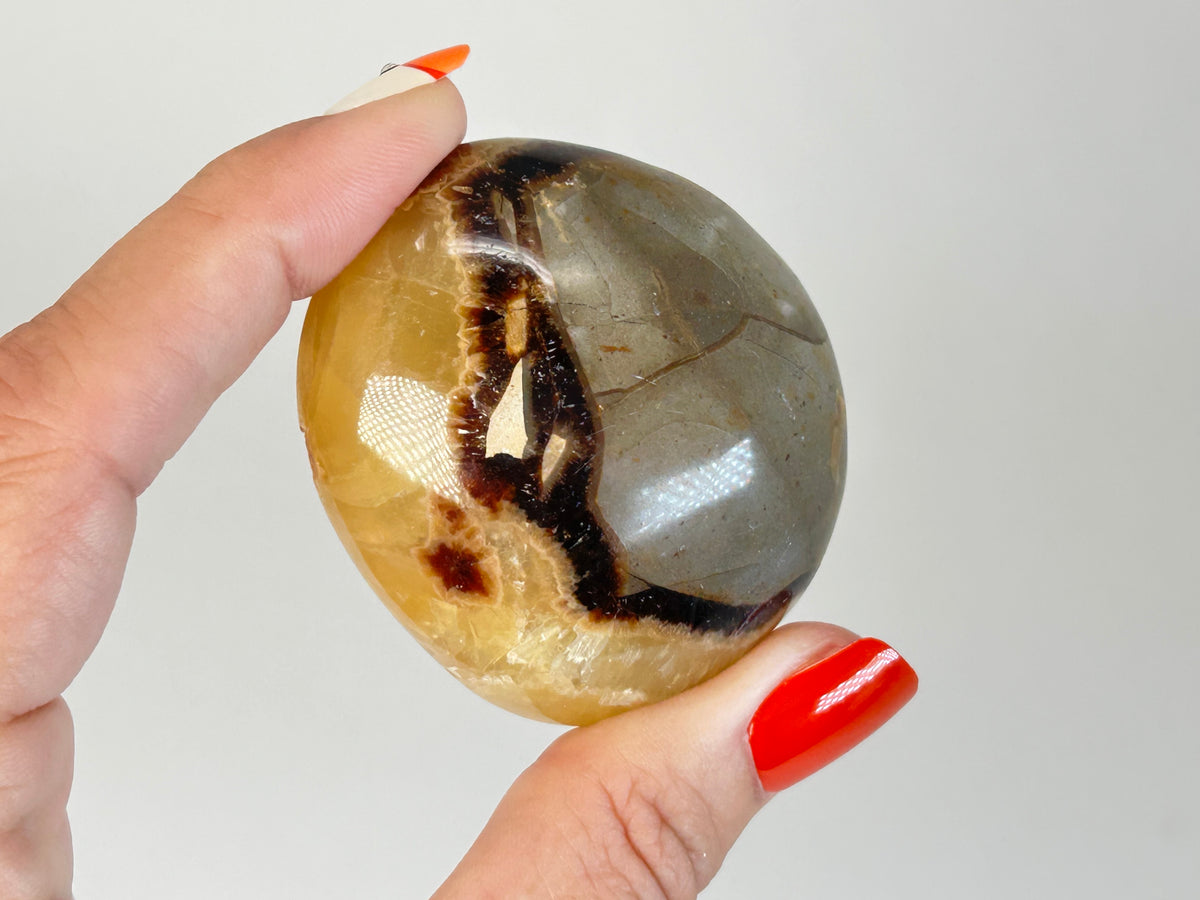Septarian Palm Stone (2", 52mm)