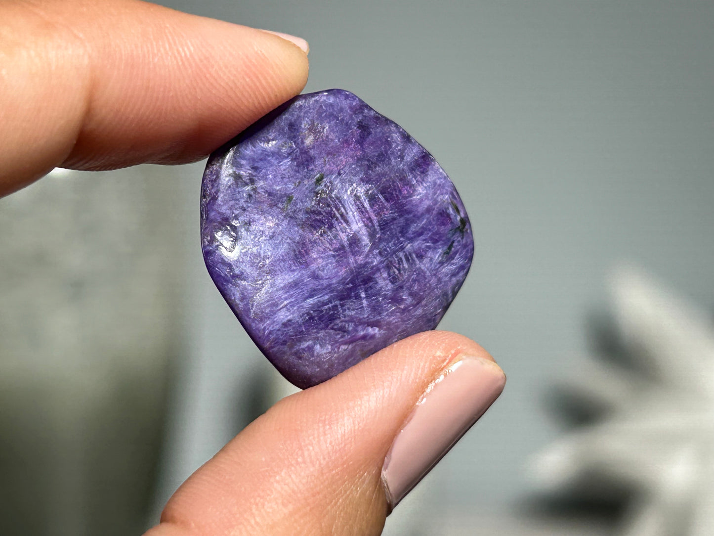 2pc Charoite Chips