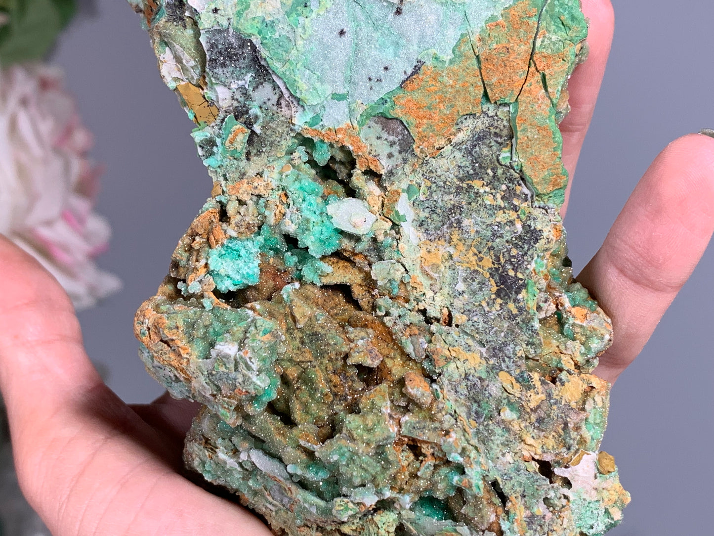 Druzy Chrysoprase (5.2", 131mm)