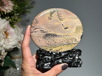 Picture Jasper Slice #280