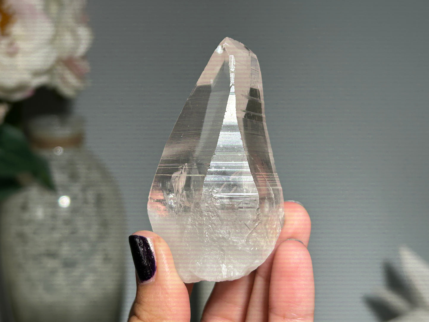 Lemurian Seed (2.75”, 70mm)