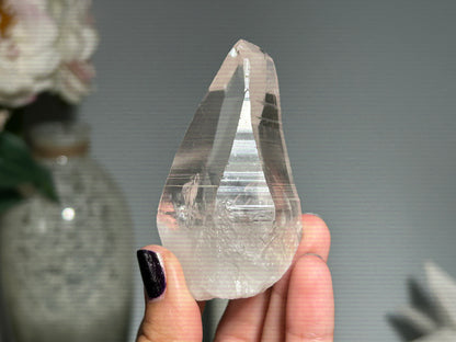 Lemurian Seed (2.75”, 70mm)