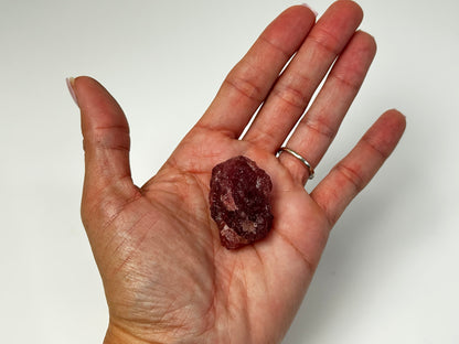 Natural Cherry Tanzurine (1.3", 34mm)