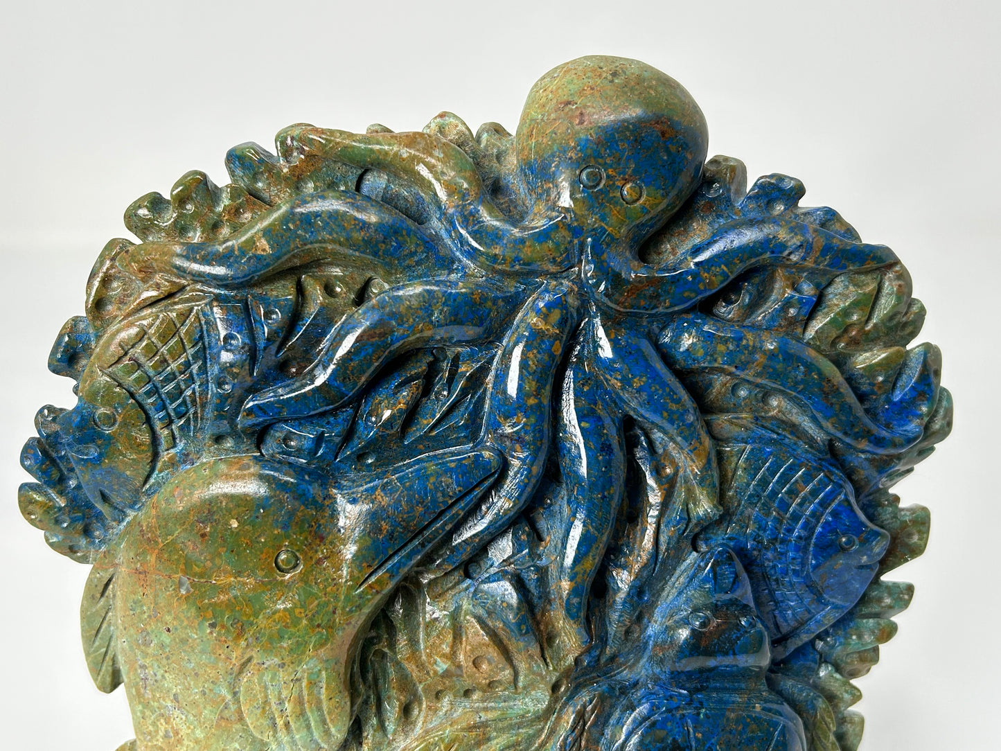 Phoenix Pine Ocean Scenery (6.4", 163mm)