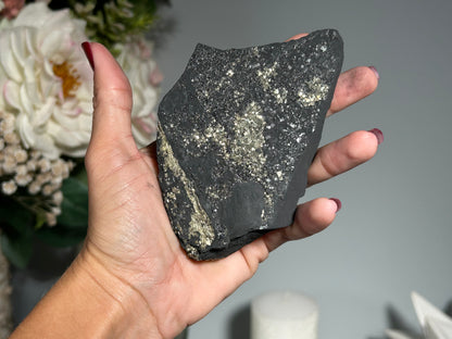 Pyrite on Shungite (4.6", 117mm)