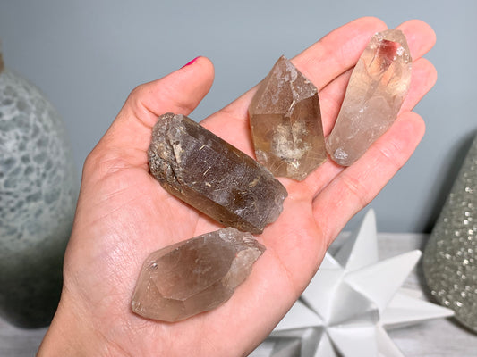 Gold Rutile in Smoky Quartz Point (19-36 grams)