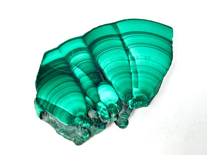 Malachite Slab (2.9", 75mm)
