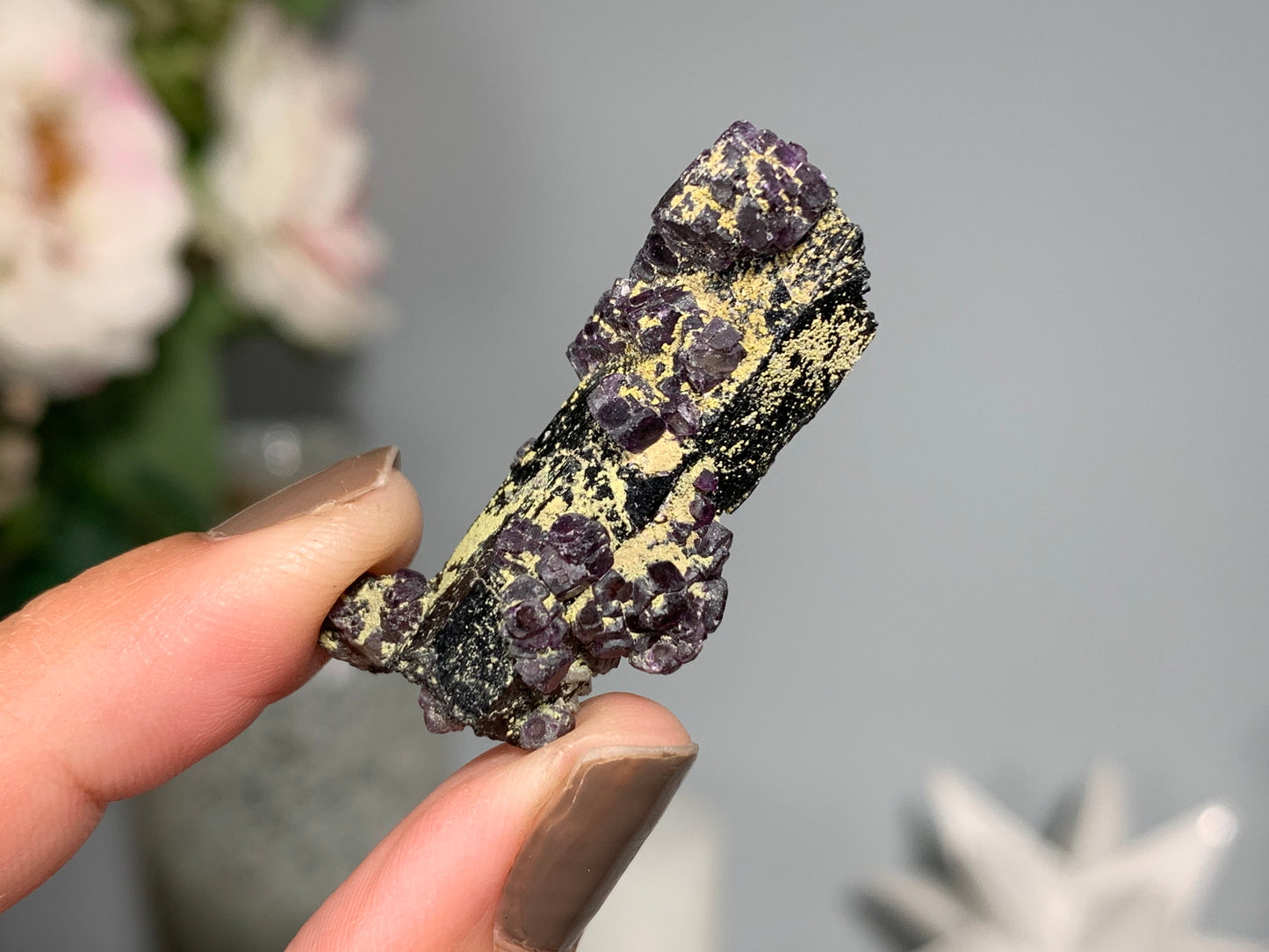 Natural Black Tourmaline with Fluorite Flowers (1.5", 38mm)