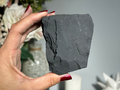 Pyrite on Shungite (3", 77mm)