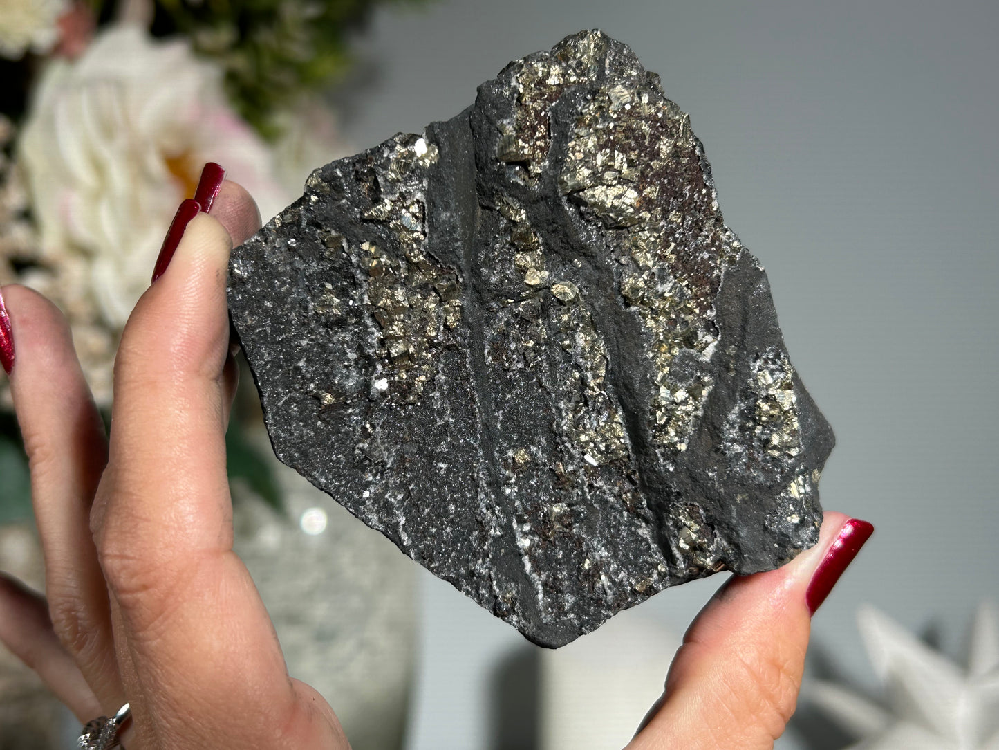 Pyrite on Shungite (3", 77mm)