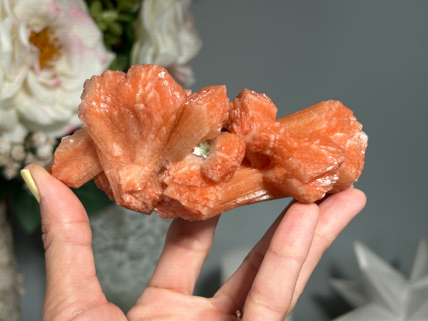 Red Stilbite Cluster (4.7", 120mm)