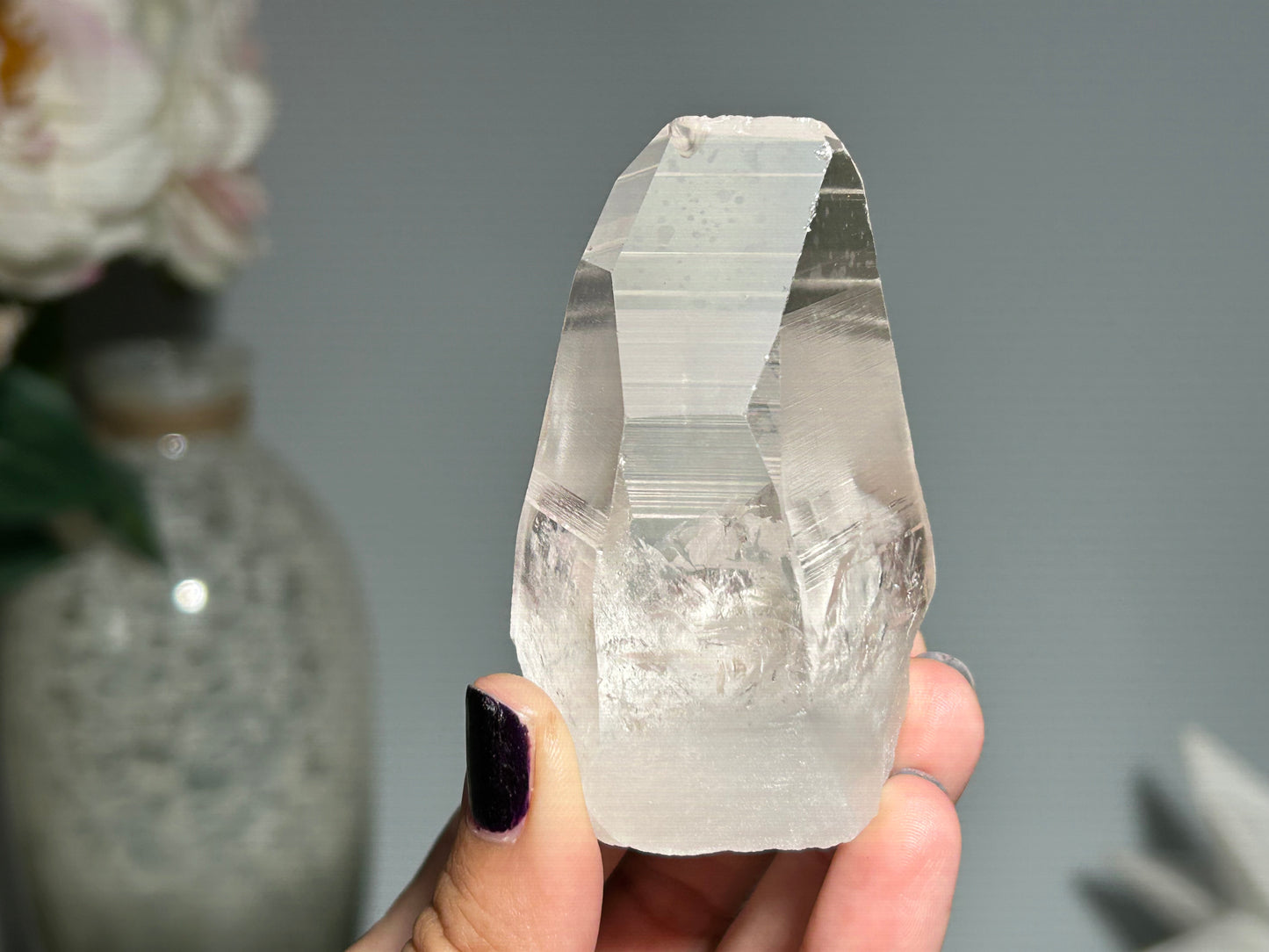 Lemurian Seed (2.75”, 70mm)