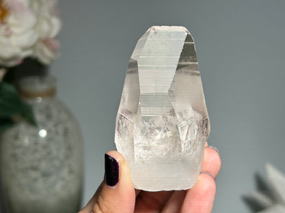 Lemurian Seed (2.75”, 70mm)