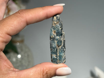 Blue Kyanite (2.1", 53mm)