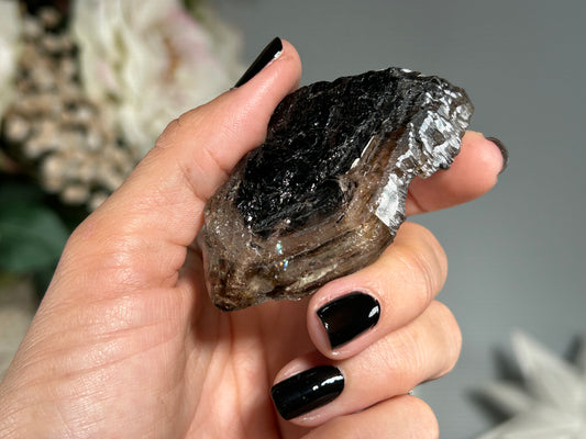 Smoky Elestial Quartz (2.6", 67mm)