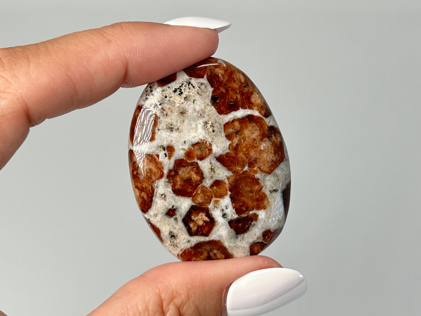 Garnet in Wollastonite (1.7", 44mm)