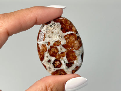 Garnet in Wollastonite (1.7", 44mm)