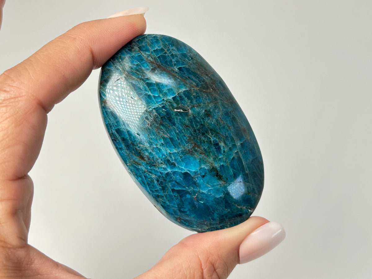 Apatite Palm Stone (2.6", 66mm)