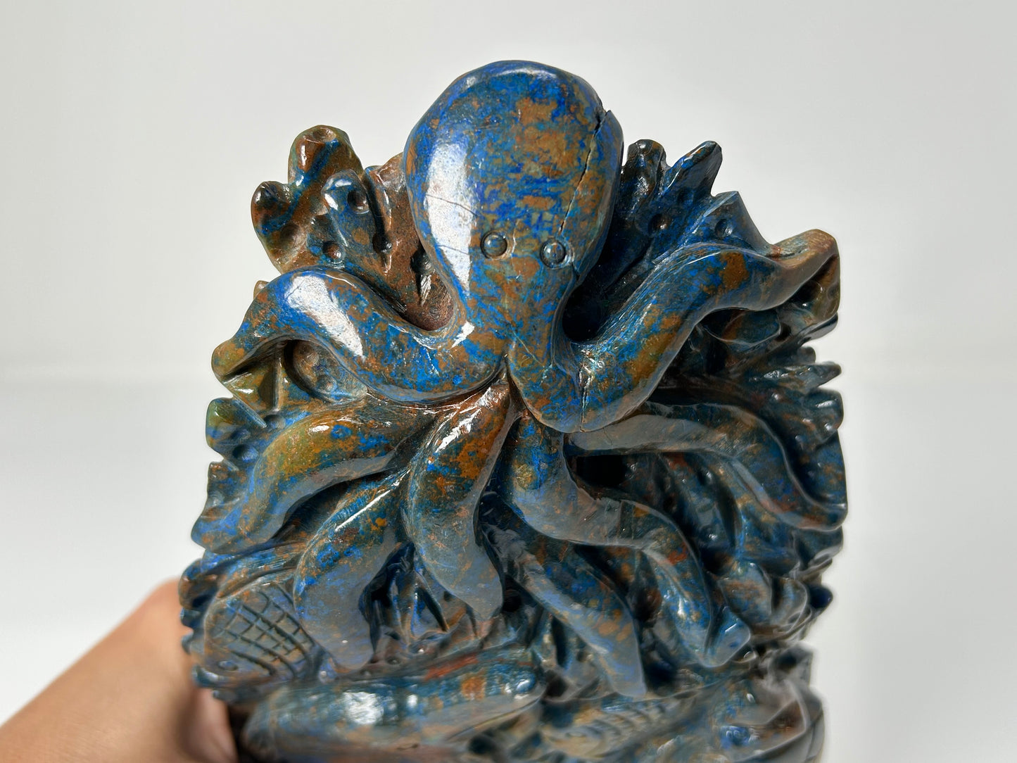 Phoenix Pine Ocean Scenery (7.6", 193mm)