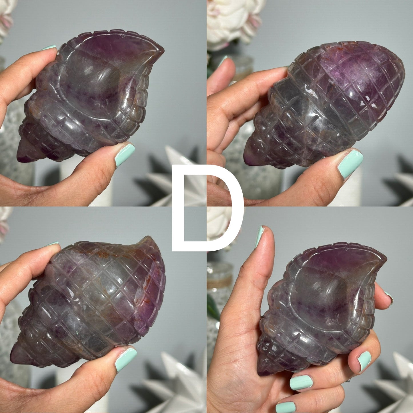 Fluorite Seashell