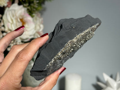 Pyrite on Shungite (4.9", 124mm)