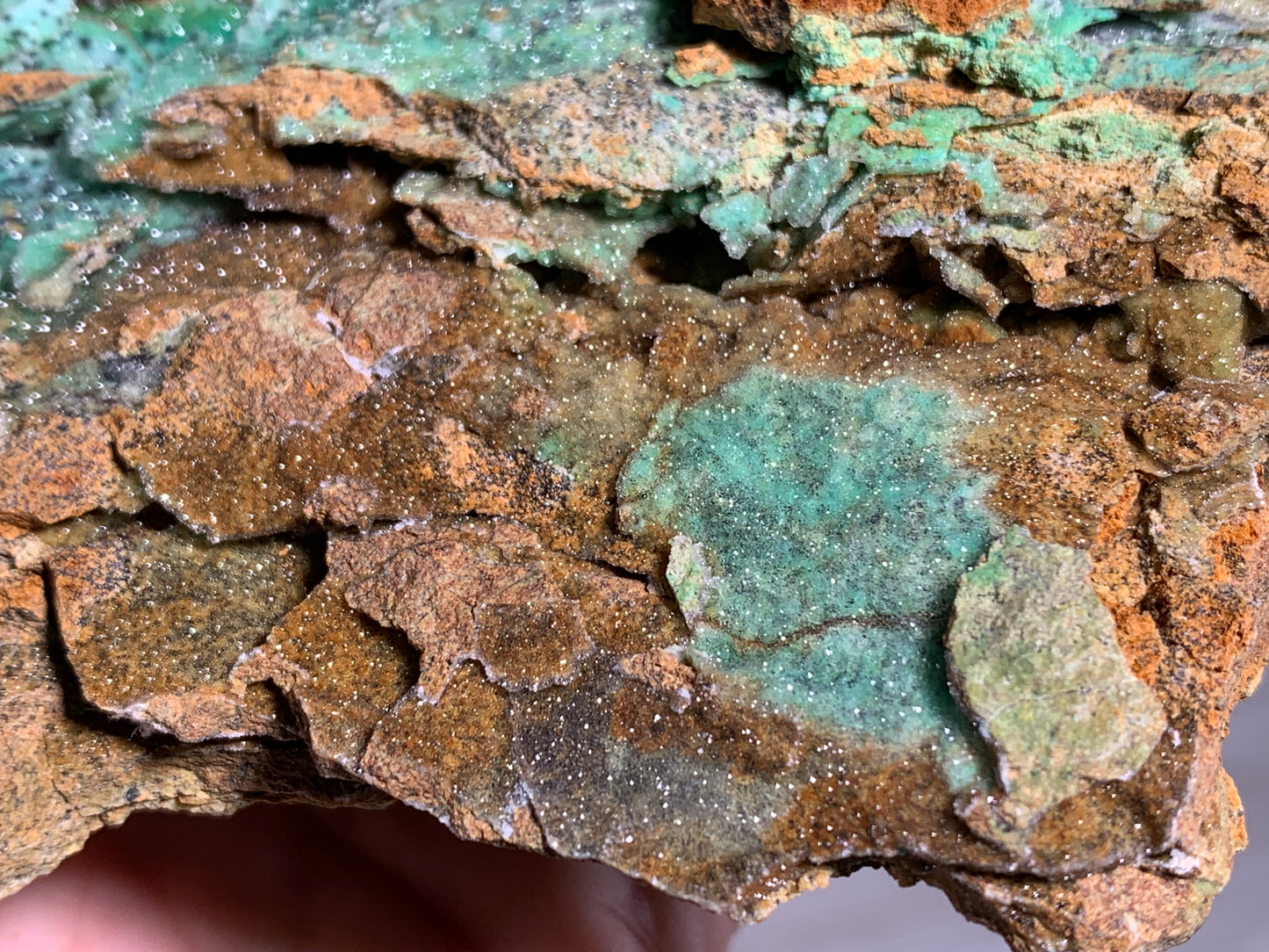 Druzy Chrysoprase (5.5", 140mm)