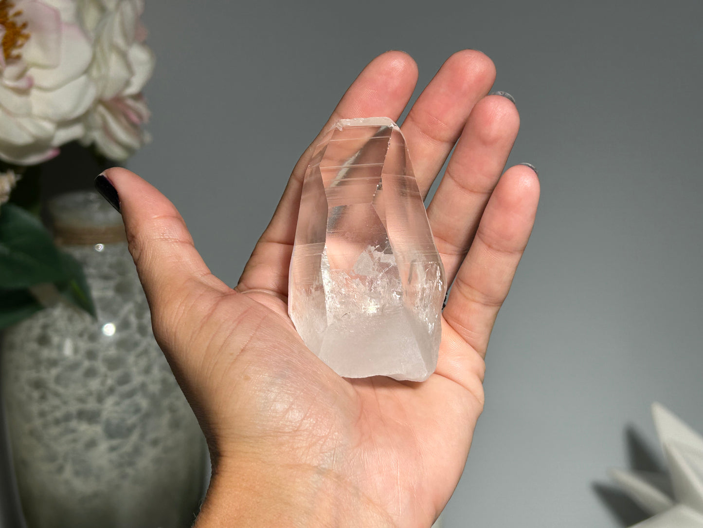 Lemurian Seed (2.75”, 70mm)