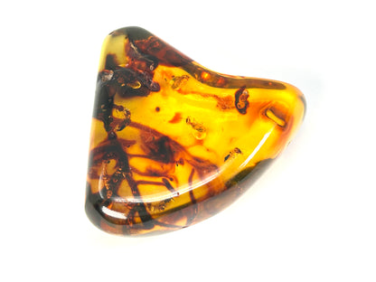 Copal Amber Pendant