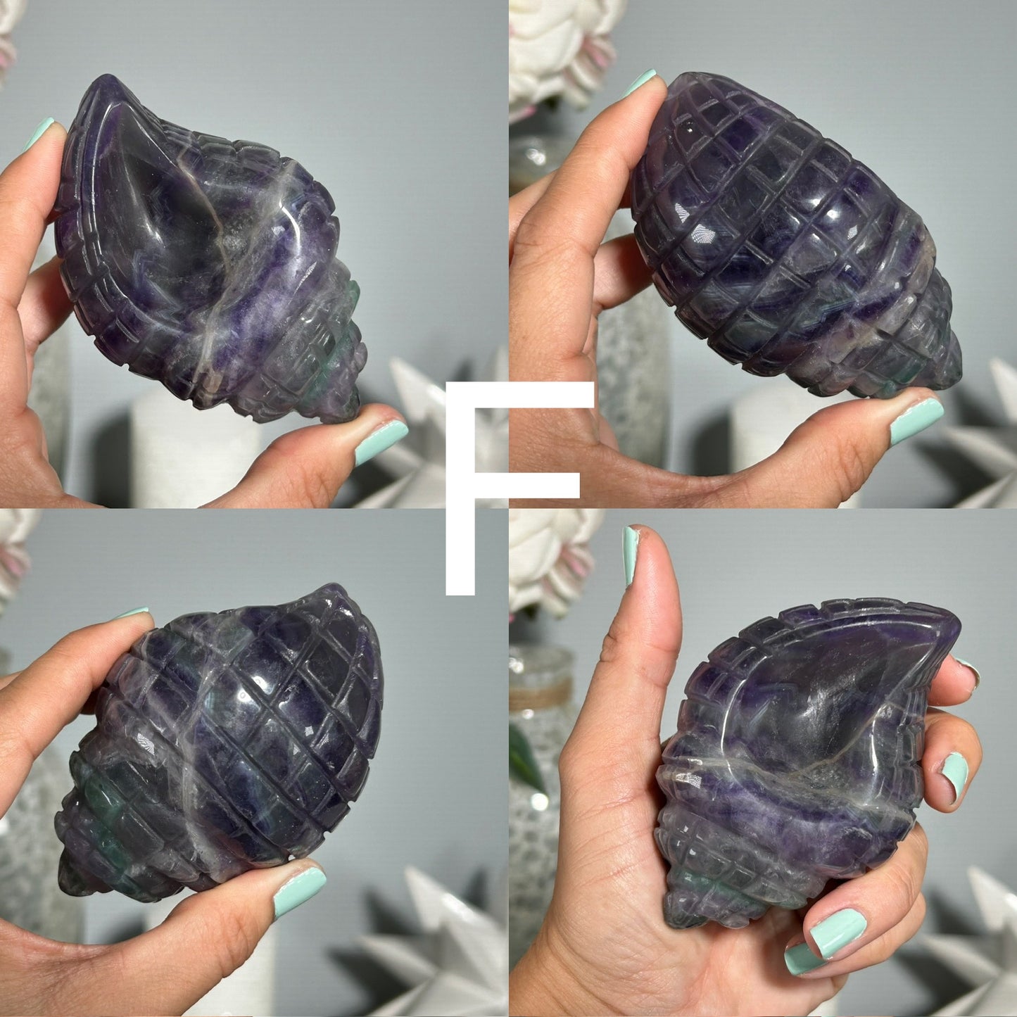 Fluorite Seashell