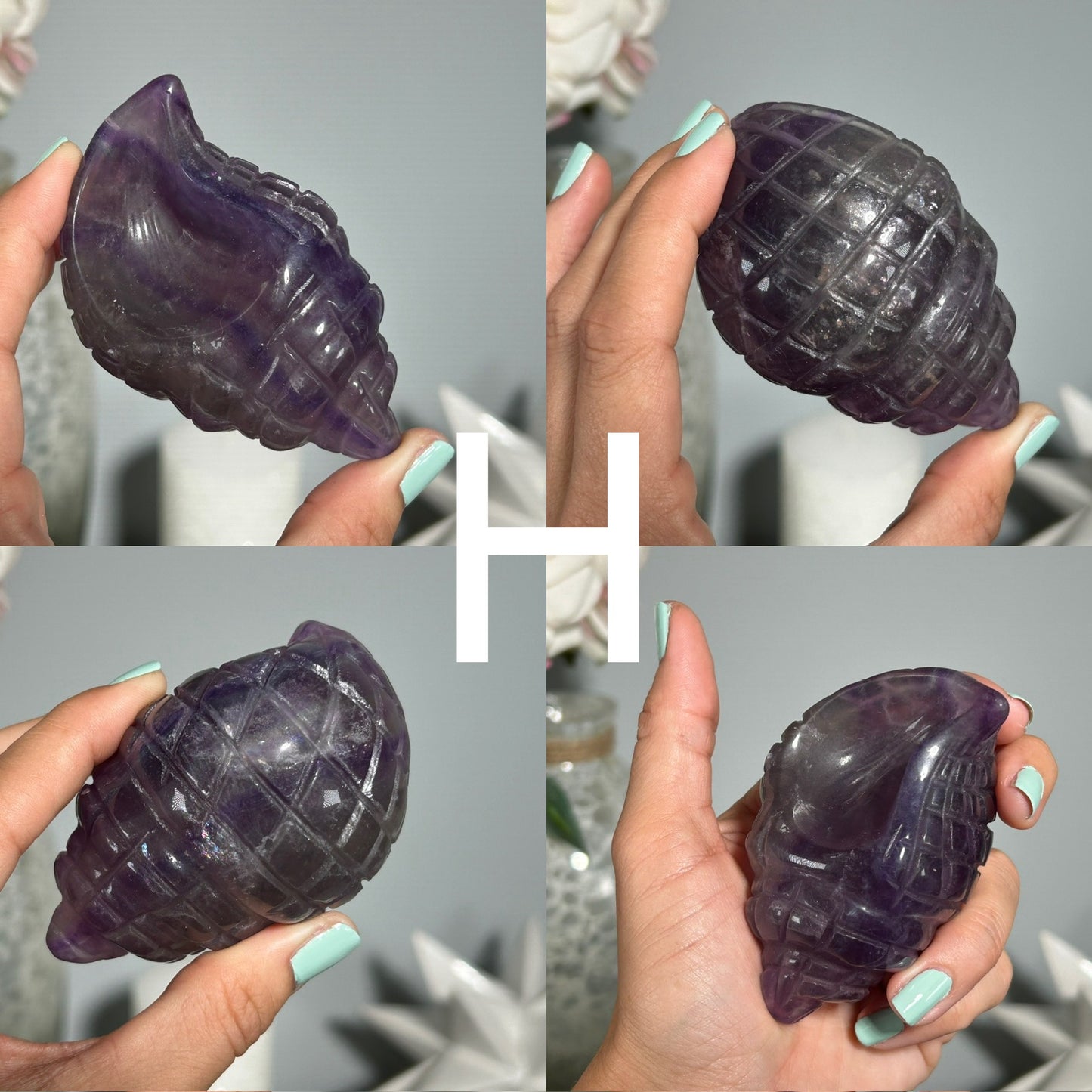 Fluorite Seashell