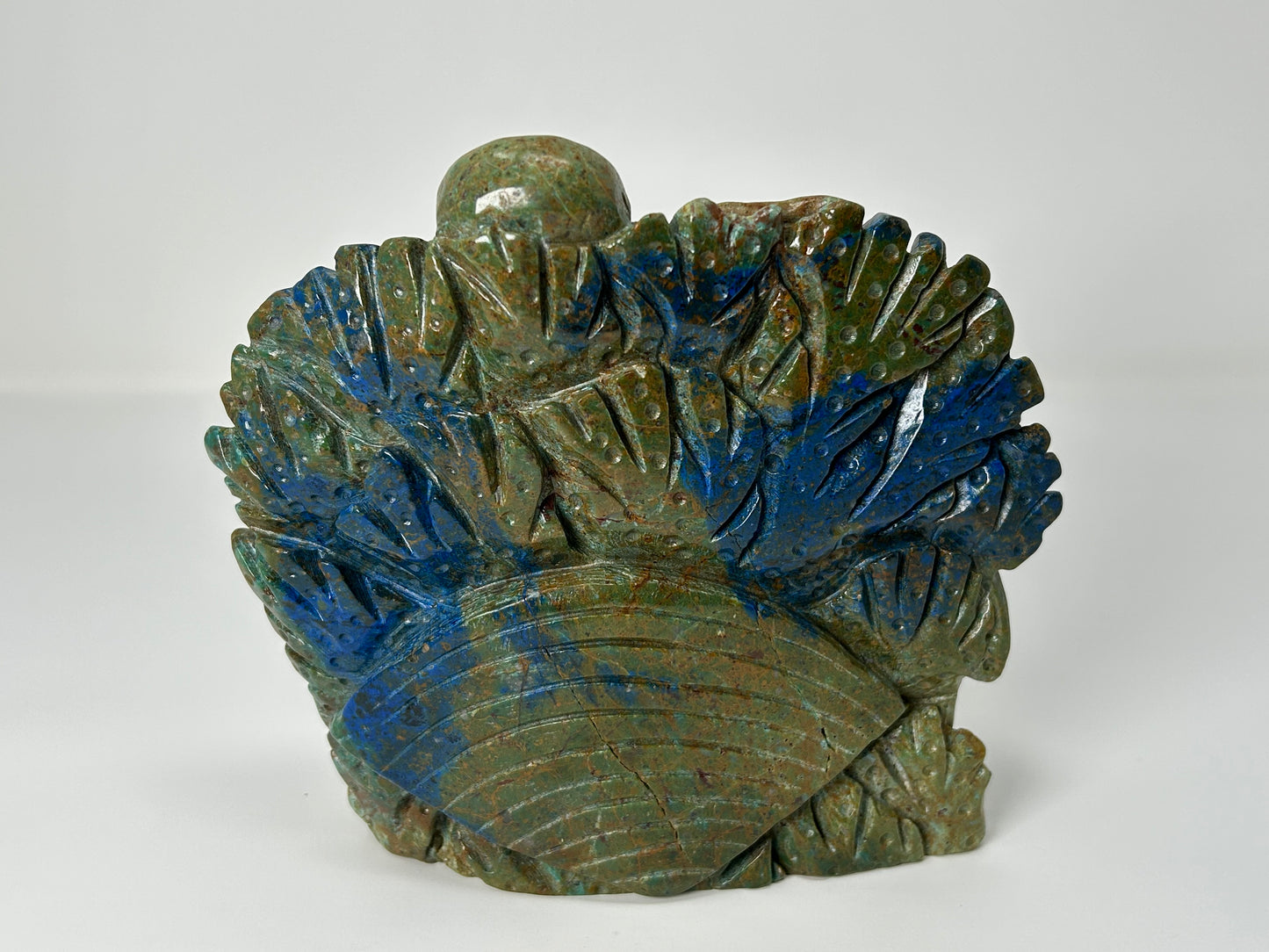 Phoenix Pine Ocean Scenery (6.4", 163mm)