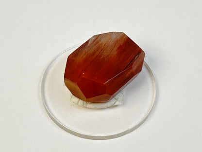 Amphibole with Rutile Gem