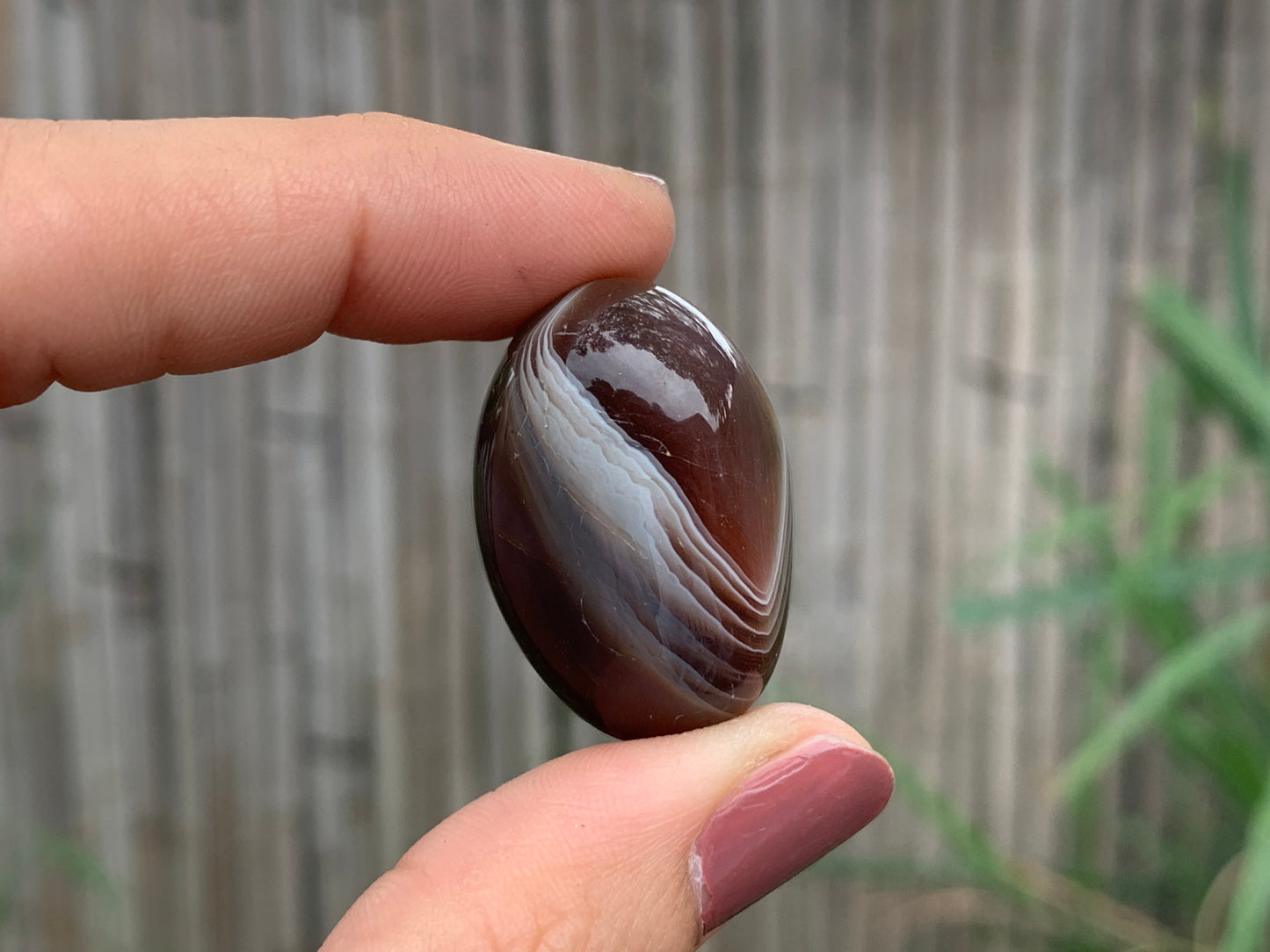 Tumbled Botswana Agate