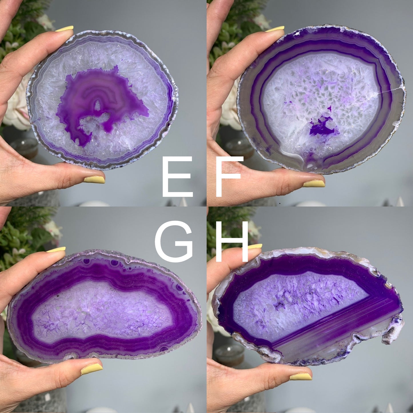 Dyed Purple Agate Slice