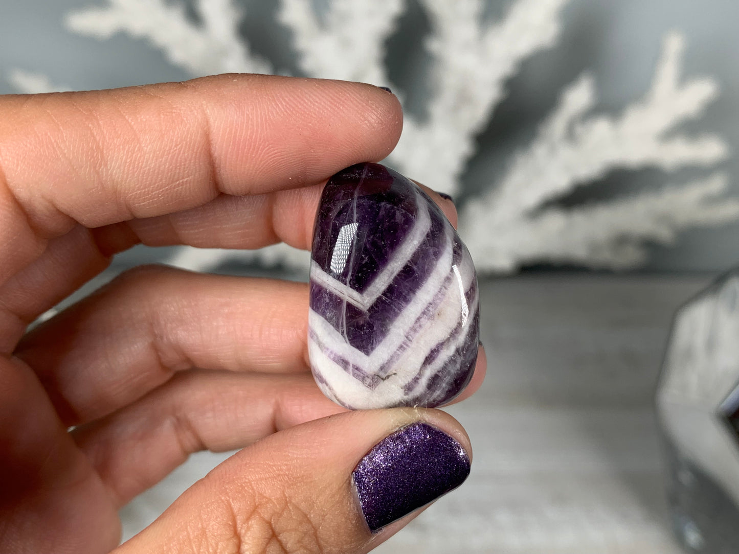 Tumbled Dog Tooth Amethyst Large