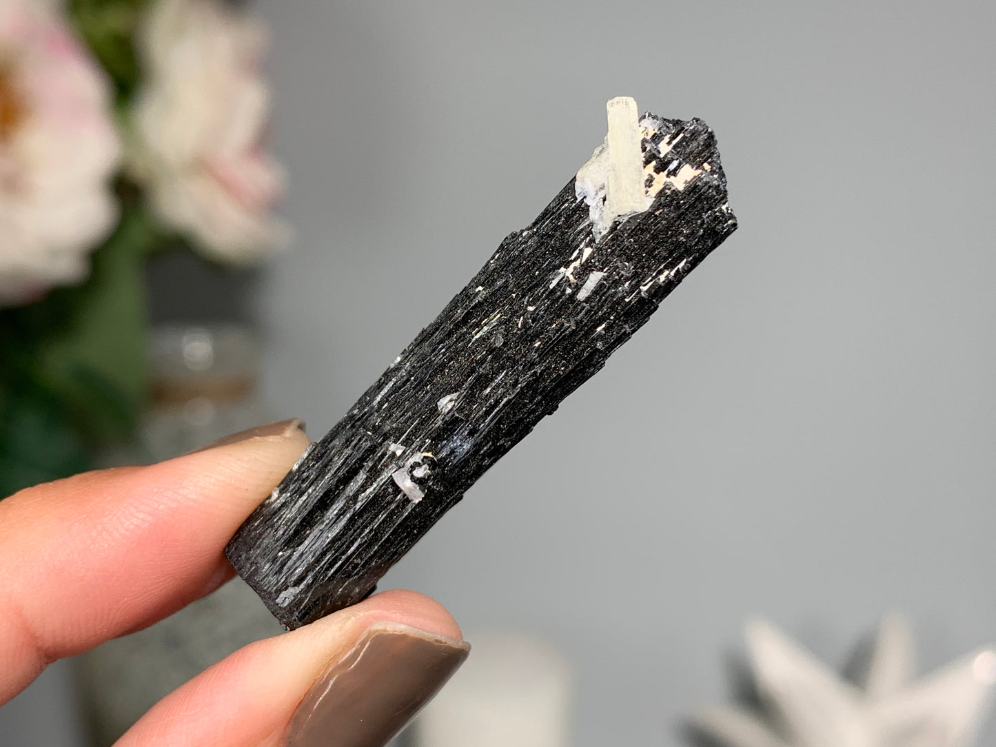 Natural Black Tourmaline with Aquamarine (1.8", 46mm)