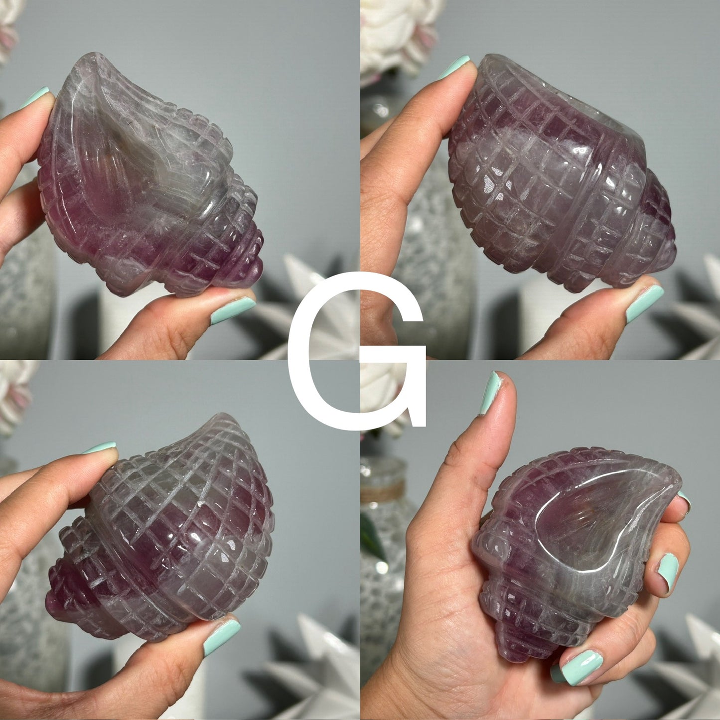 Fluorite Seashell