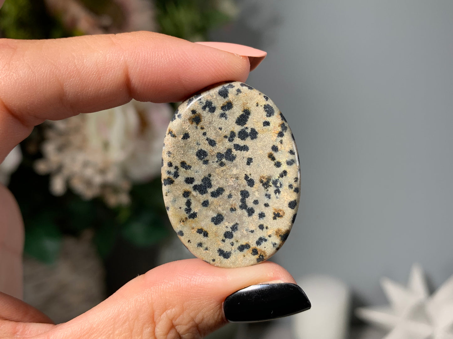 Dalmatian Jasper Thumb Stone