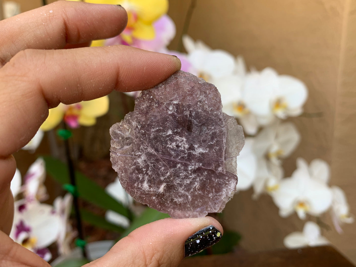 Lepidolite Slice