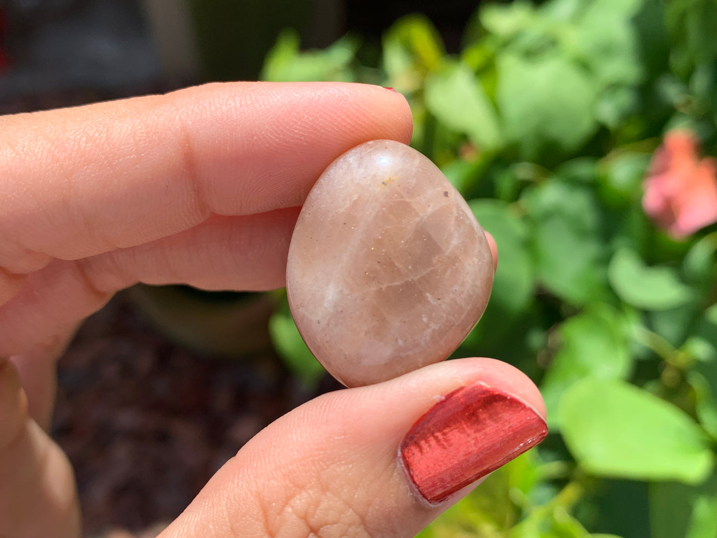 Tumbled Mixed Moonstone