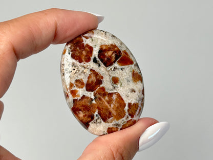 Garnet in Wollastonite (1.7", 44mm)