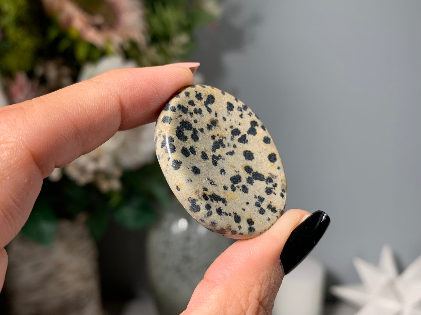 Dalmatian Jasper Thumb Stone