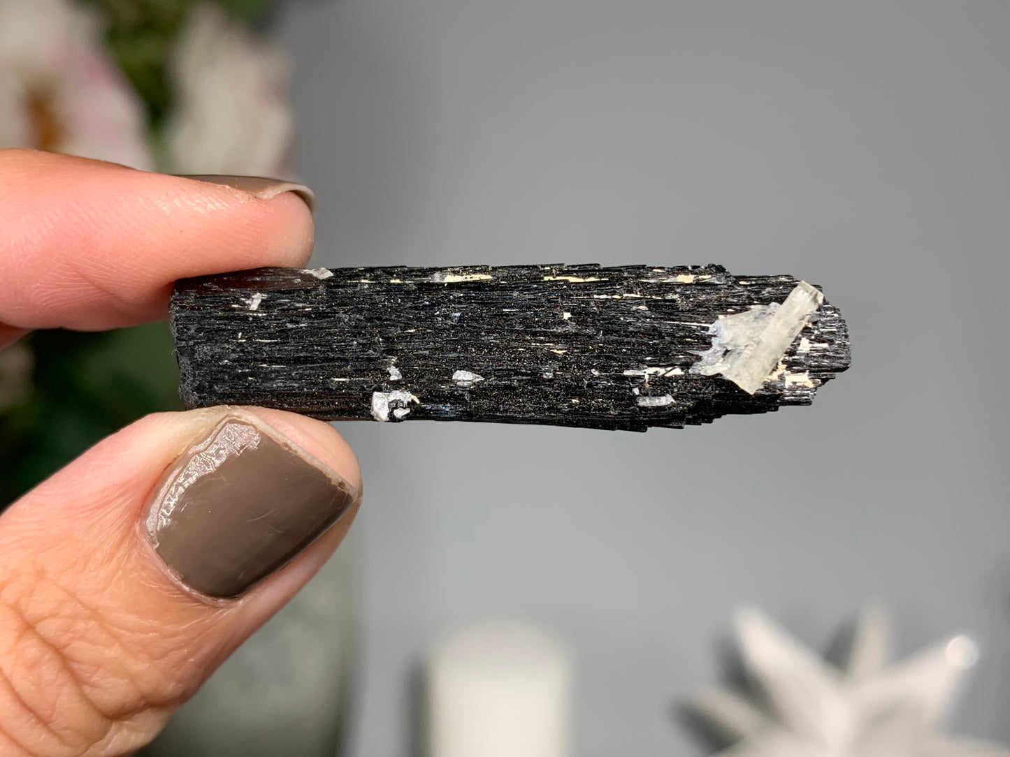 Natural Black Tourmaline with Aquamarine (1.8", 46mm)